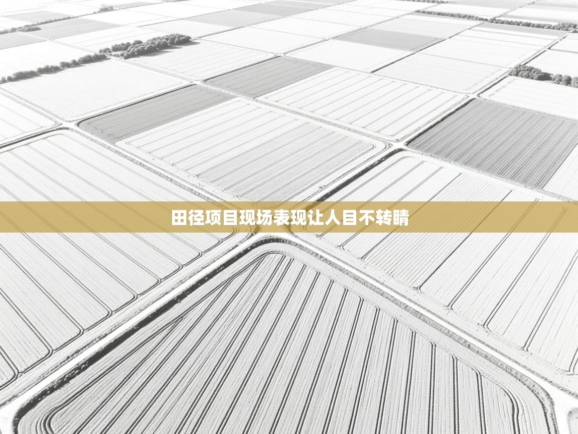 开云体育app下载链接-田径项目现场表现让人目不转睛  第4张