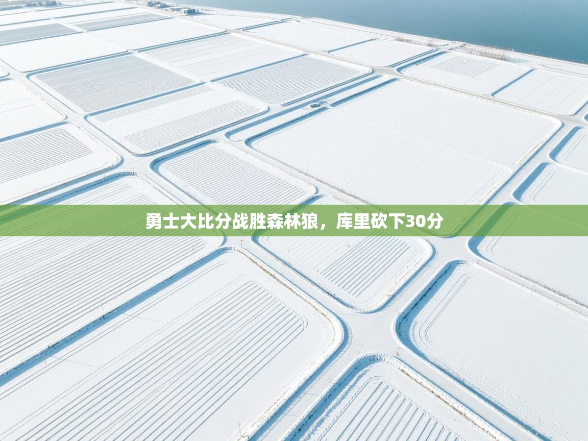 云开体育官网-勇士大比分战胜森林狼，库里砍下30分