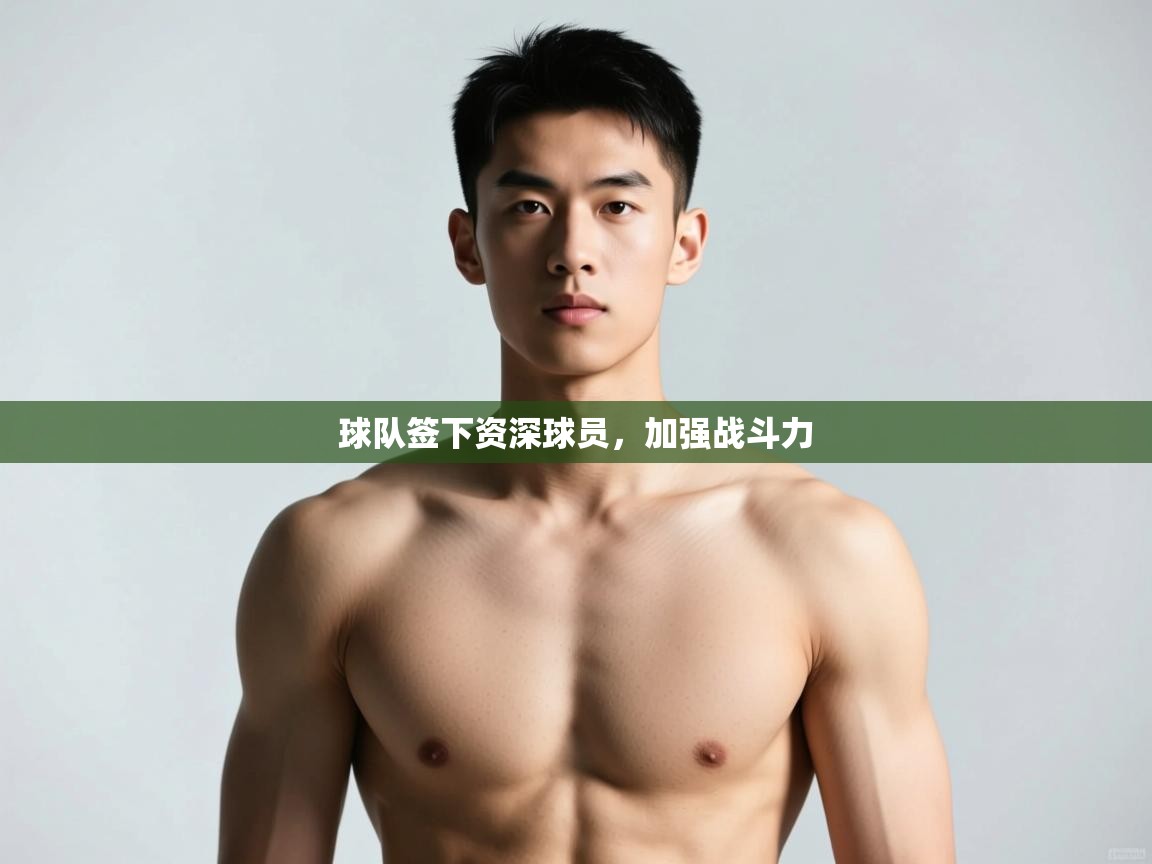 开云体育在线下载-球队签下资深球员，加强战斗力  第2张