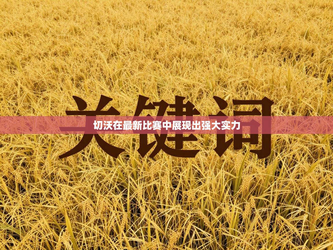 开云体育入口网址-切沃在最新比赛中展现出强大实力 第4张