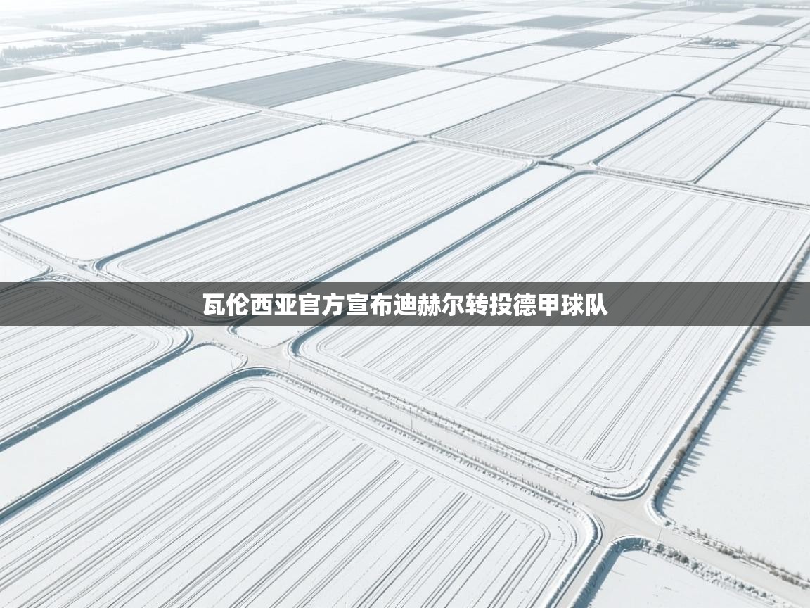 云开体育官网入口-瓦伦西亚官方宣布迪赫尔转投德甲球队  第2张