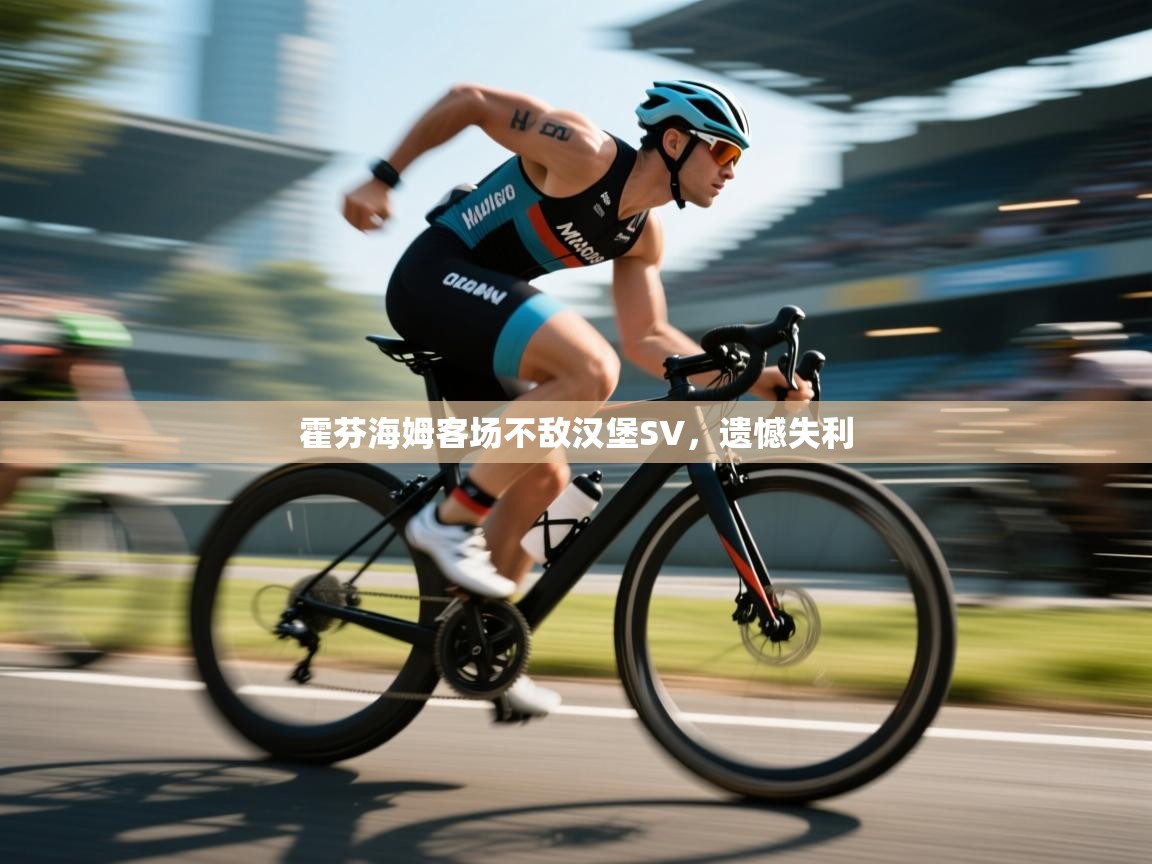 开云体育在线入口-霍芬海姆客场不敌汉堡SV，遗憾失利  第3张