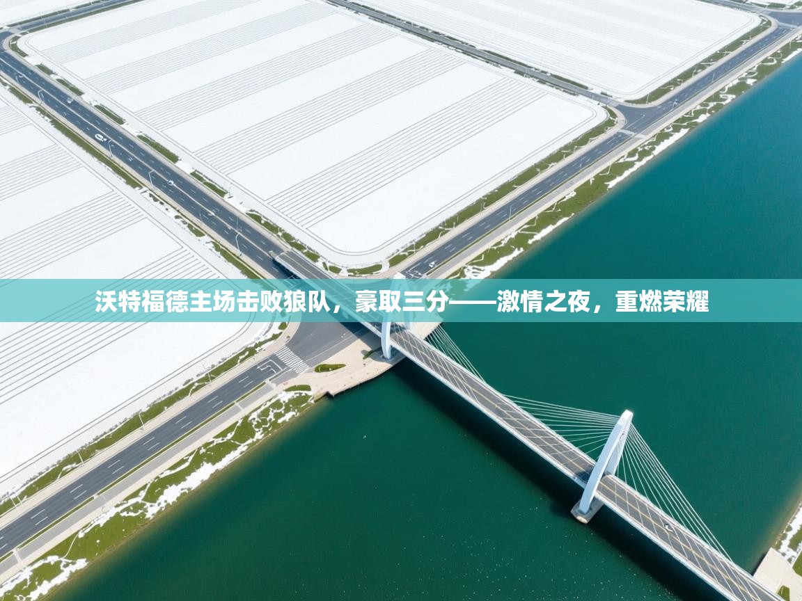 开云体育app官网下载地址-沃特福德主场击败狼队，豪取三分——激情之夜，重燃荣耀