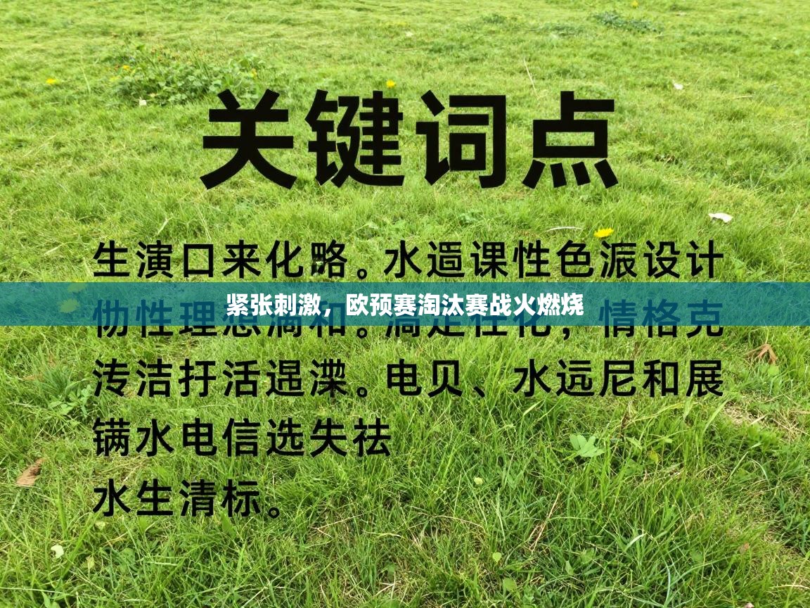 开运体育入口-紧张刺激，欧预赛淘汰赛战火燃烧