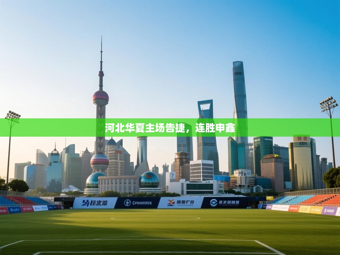 开云体育入口下载-河北华夏主场告捷,连胜申鑫 第3张